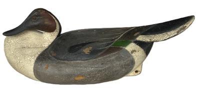 **SOLD** RM1566 - Pintail Drake Decoy in a breast-preening pose carved by William �Wild Bill� Kennedy of Havre de Grace, Maryland. Signed and dated 2011 on bottom. Original staple and ring remain intact on bottom. Approximate measurements:  ~17 &frac14;� long x ~7 &frac12;� wide x ~7� tall. 