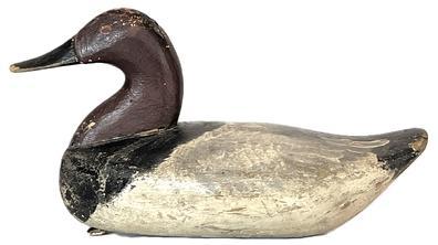 K1746 Branded Canvasback Drake Decoy -carved by August Heinefield (1883-1952) from Rock Hall, Maryland. Branded �L� on bottom. Decoy bears what appears to be a second coat of old working paint surface and original staple and ring remain intact on bottom. 