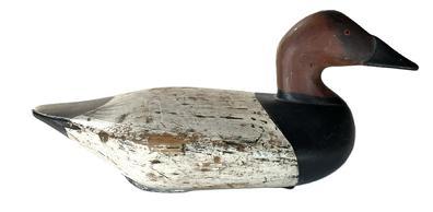 K1760 Branded Canvasback Drake decoy carved by Robert McGaw (1879-1958) of Havre de Grace, Maryland.  Branded �O� on bottom. Original �dog bone� weight and leather loop for rigging remain intact on bottom.  Decoy appears to have been cleaned down to original surface. 