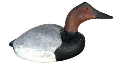 K28 Canvasback Decoy by John T. �Baby John� Evans Jr. of Crisfield, MD (1923-1994). Age crack in top of the back as seen in photos. Approximate decoy measurements: 15 &frac34;� long x 8� wide x 7 &frac12;� tall.  NOTE: Evans was a World War II Veteran, and a retiree of the Maryland National Guard after 27 years of service. He was also a (retired) carpenter and wood carver. 