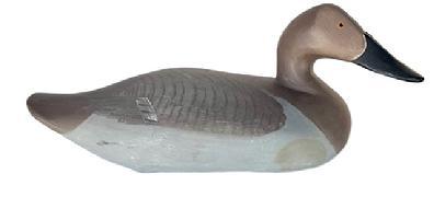 L413 Canvasback Hen decoy carved by Madison Mitchell (1901-1993) from Havre de Grace, Maryland. Electric pencil signature on bottom - "R. Madison Mitchell � Havre de Grace, Md - 1971� Decoy has a slightly turned head, retains its original weight, staple and ring on bottom and bears its original painted surface with dry surface - never oiled or waxed. 