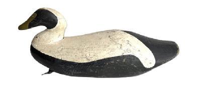L460 Hand carved Eider Decoy from Maine � carver unknown. This breed of sea ducks is sometimes also referred to as Cuddy�s Duck. Approximate measurements: 19 &frac12;� long x 6 &frac34;� wide x 8 &frac14;� tall. 