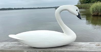 L277 Swan decoy - carved by Robbie Daley from New Jersey. Solid wood. Signed on bottom.