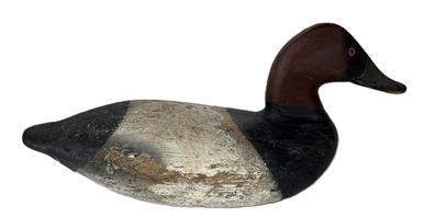 L42 Canvasback Drake Decoy carved by Taylor Boyd (1856-1946) of Perryville, Maryland. Branded "Grace" on bottom. Decoy retains working painted surface with areas of original paint showing through. Weight, staple and ring remain intact on bottom. Approximate measurements: 15 ¼ long x 6 wide x 7 tall.  
