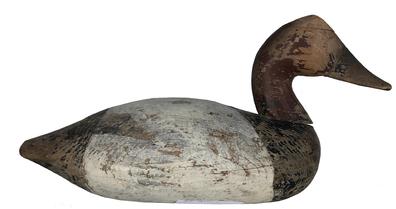 E375 Rare Canvasback Drake in original paint carved by Ed Parsons who was born on the Tred Avon River in Talbot County, Maryland in 1856 and, at the age of ten, moved with his family to Oxford, Maryland, where he went to work in his uncle’s shipyard. He was the only decoy maker who made birds for sale, other than the Elliot twins, in Talbot County.He made a round, smaller than average decoy and always cut a concavity under the end of the tail. His ballast weight was melted lead poured into a one-inch hole he bored in the bottom of the decoy. His paint patterns were simple and effective. He made canvasback, redhead, blackhead, goldeneye, buffleheads, and mergansers.