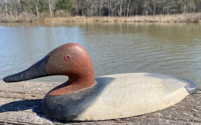 F129 Canvasback Sink Box Decoy painted by Captain William E. “Bill” Collins Centreville, Maryland Born 1949 Born at Perry Point and raised in Perryville, Bill Collins began hunting and repairing decoys at an early age under the encouragement and tutelage of his older brother. Not long after graduating from high school, Madison Mitchell hired him for a job in his funeral home and then informed him that they would be working in the decoy shop between funeral duties. In 1981, Collins bought the Mitchell shop and opened it as Upper Chesapeake Bay Decoys. In 1987, Collins sold Mitchell’s lathe, machine tools, and fixtures to the Decoy Museum, and the shop was reconstructed on the Museum property