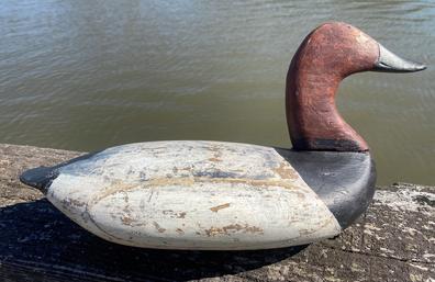 F112 Taylor Boyd (1856-1946) Upper Bay working Decoy, Canvasback Drake, in the original paint no cracks to the neck or body circa 1910 found in a rig of decoys in Talbot Co maryland