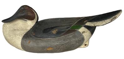 RM1566 - Pintail Drake Decoy in a breast-preening pose carved by William Wild Bill Kennedy of Havre de Grace, Maryland. Signed and dated 2011 on bottom. Original staple and ring remain intact on bottom. Approximate measurements:  ~17 ¼ long x ~7 ½ wide x ~7 tall. 