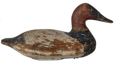 RM1009 Leonard E. Pryor(1876 - 1967) Elkton, MD Rare Canvasback drake decoy in original paint from makers own rig of Decoys This workhorse was purchased from the Granddaughter of Leonard Pryor. Mr Proyer was a carver who offers two distinct views of his artistry. His earlier style may have been influenced by Henry (1868 – 1944) and George (1866 – 1931) Lockhard who produced finely carved decoys with prominent bills and tails. Pryor’s early birds followed the Lockhard’s use of detailing, inctuding half moon nostrils in their bills and tails that are slightly upswept beginning down the middle of the body. As with the Lockhards, Pryor included an iron keel. His sleepers and preeners, are distinctive and unique birds showing the evolution of his considerable skill.His later style, possibly developed while living in Chesapeake City, feature smooth, finely carved decoys with no noticeable shelf and smaller bill detail. Several of his birds appear to be similar to the style found on the lower Delaware River with raised wing carvings. Pryor is credited with a number of well-carved canvasback, scaup, black duck and pintail decoys.