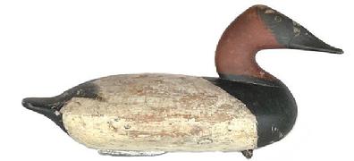 Rare - branded Canvasback Drake decoy carved by George Reed Lockard (1866-1931) from the Elk Neck area of Cecil County, Maryland -deeply branded C on the bottom.  Original weight and staple remain intact on bottom. 